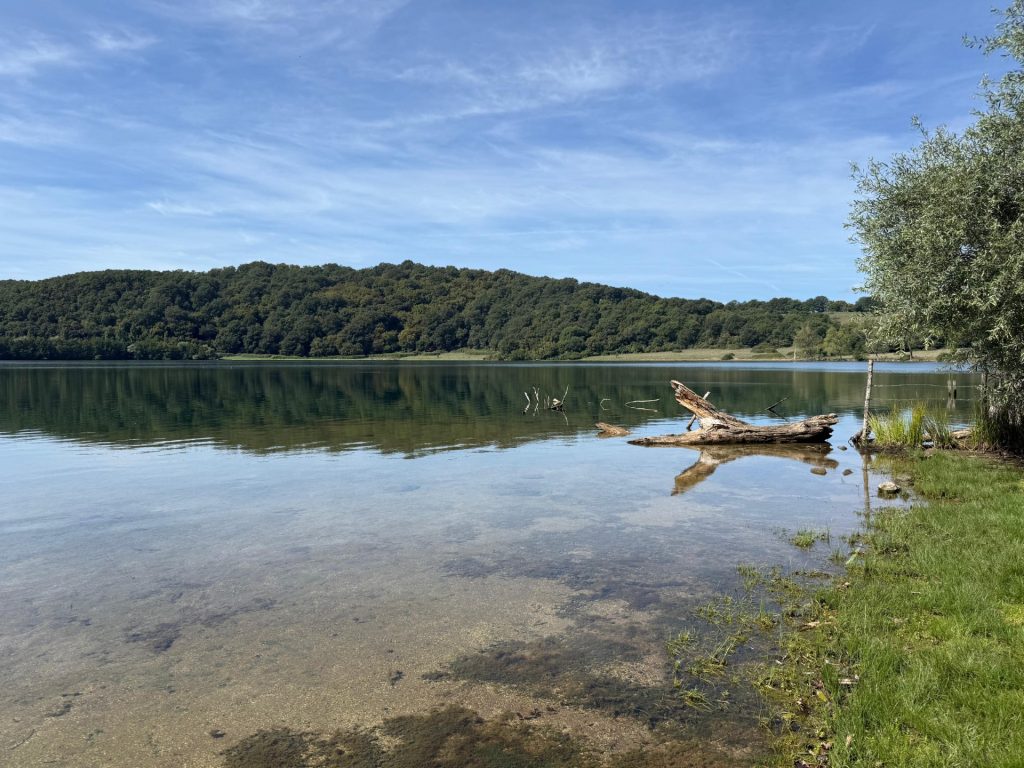 Valentano (VT) – lago di Mezzano: inizio lavori