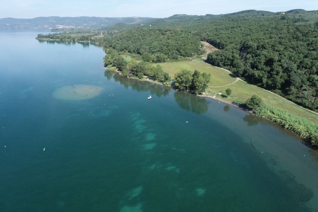 vista lago